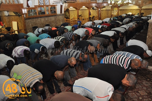 kaber yaffa js (5).JPG